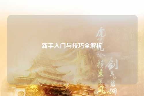新手入门与技巧全解析