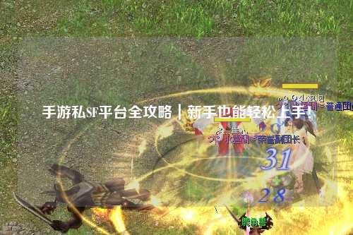 手游私SF平台全攻略｜新手也能轻松上手！