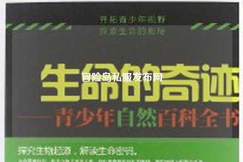 冒险岛私服发布网
