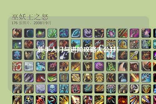 新手入门与进阶攻略大公开!