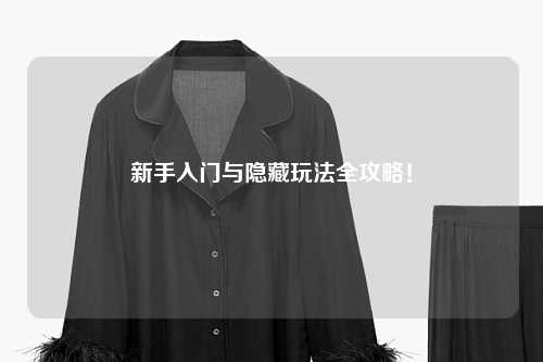 新手入门与隐藏玩法全攻略!