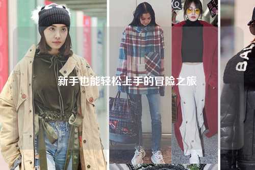 新手也能轻松上手的冒险之旅