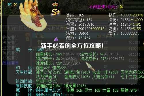 新手必看的全方位攻略！