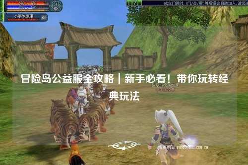 冒险岛公益服全攻略|新手必看!带你玩转经典玩法
