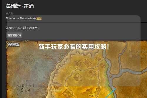 新手玩家必看的实用攻略!