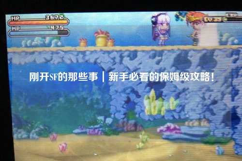 刚开SF的那些事|新手必看的保姆级攻略!