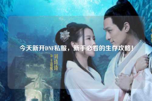 今天新开DNF私服，新手必看的生存攻略！