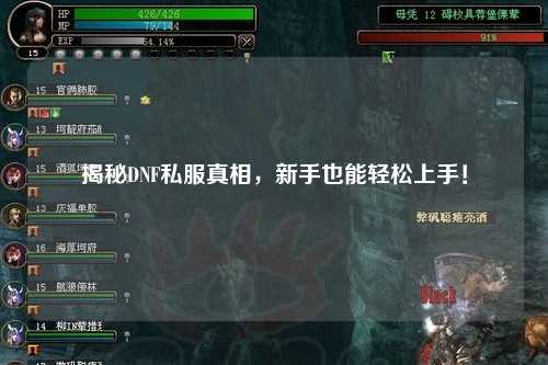 揭秘DNF私服真相，新手也能轻松上手！