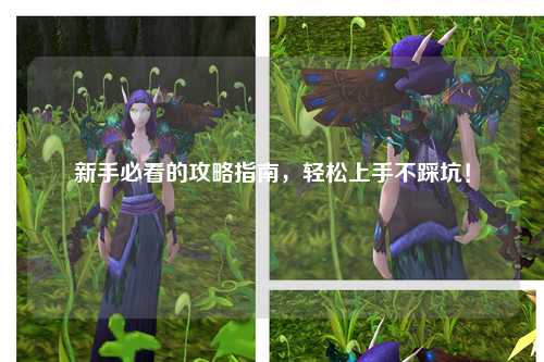 新手必看的攻略指南,轻松上手不踩坑!