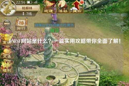 DNFSF网站是什么？一篇实用攻略带你全面了解！