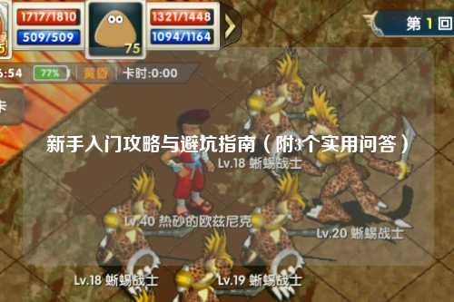 新手入门攻略与避坑指南(附3个实用问答)