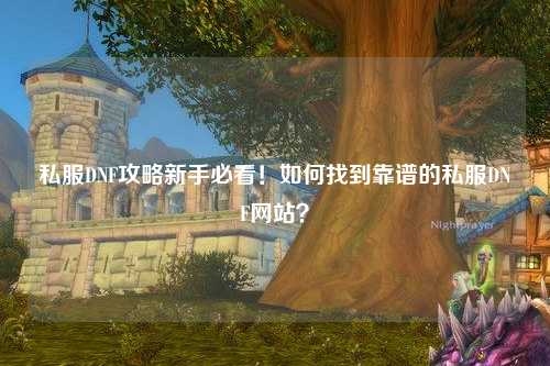 私服DNF攻略新手必看!如何找到靠谱的私服DNF网站?